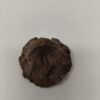 Bibbey BioSciences Dried Lotus Head / Pod Medium - 3