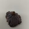 Bibbey BioSciences Dried Lotus Head / Pod Small - 3