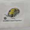 Armadillidium vulgare Magic Potion 80mm x 80mm Sticker Decal