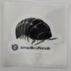 Armadillo officinalis 80mm x 80mm Sticker Decal