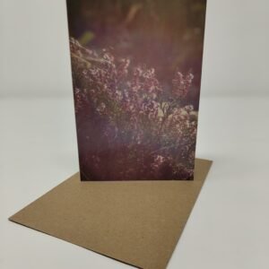 Heather Sunset - Greeting Card Pack (Blank Inside) by Brownlow BioSciences