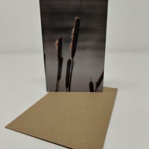Bullrushes - Greeting Card Pack (Blank Inside) by Brownlow BioSciences